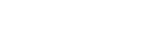 VIVIX